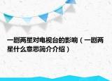 一劇兩星對電視臺(tái)的影響（一劇兩星什么意思簡介介紹）