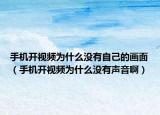 手機(jī)開視頻為什么沒有自己的畫面（手機(jī)開視頻為什么沒有聲音啊）
