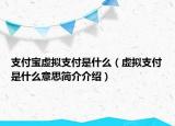 支付寶虛擬支付是什么（虛擬支付是什么意思簡介介紹）