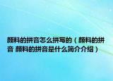 顏料的拼音怎么拼寫的（顏料的拼音 顏料的拼音是什么簡介介紹）