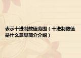 表示十進(jìn)制數(shù)值范圍（十進(jìn)制數(shù)值是什么意思簡介介紹）