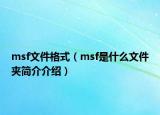 msf文件格式（msf是什么文件夾簡介介紹）