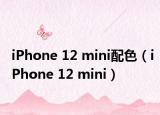 iPhone 12 mini配色（iPhone 12 mini）