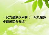 一尺九是多少米?。ㄒ怀呔攀嵌嗌倮迕缀喗榻榻B）