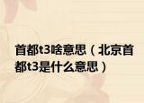 首都t3啥意思（北京首都t3是什么意思）