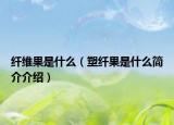 纖維果是什么（塑纖果是什么簡介介紹）