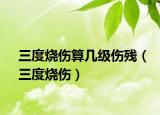 三度燒傷算幾級傷殘（三度燒傷）