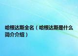 哈根達(dá)斯全名（哈根達(dá)斯是什么簡介介紹）