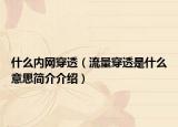 什么內(nèi)網(wǎng)穿透（流量穿透是什么意思簡介介紹）