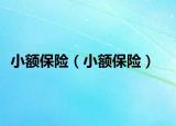 小額保險(xiǎn)（小額保險(xiǎn)）