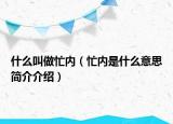 什么叫做忙內(nèi)（忙內(nèi)是什么意思簡介介紹）