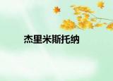 杰里米斯托納