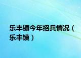 樂(lè)豐鎮(zhèn)今年招兵情況（樂(lè)豐鎮(zhèn)）