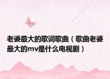 老婆最大的歌詞歌曲（歌曲老婆最大的mv是什么電視劇）
