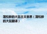 蒲松齡的大鼠古文意思（蒲松齡的大鼠翻譯）