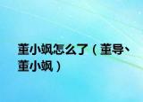 董小颯怎么了（董導(dǎo)丶董小颯）