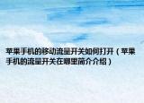 蘋果手機(jī)的移動(dòng)流量開(kāi)關(guān)如何打開(kāi)（蘋果手機(jī)的流量開(kāi)關(guān)在哪里簡(jiǎn)介介紹）