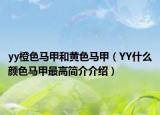 yy橙色馬甲和黃色馬甲（YY什么顏色馬甲最高簡介介紹）