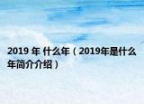 2019 年 什么年（2019年是什么年簡(jiǎn)介介紹）