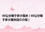 60公分等于多少毫米（60公分等于多少厘米簡介介紹）