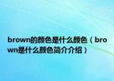 brown的顏色是什么顏色（brown是什么顏色簡(jiǎn)介介紹）