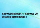 東陵大盜電視劇簡介（東陵大盜 2008年張多福執(zhí)導(dǎo)電視劇）
