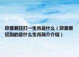 欣喜若狂打一生肖是什么（欣喜若狂指的是什么生肖簡(jiǎn)介介紹）