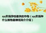 qq農(nóng)場(chǎng)掙錢(qián)最快的作物（qq農(nóng)場(chǎng)種什么植物最賺錢(qián)簡(jiǎn)介介紹）