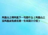 鳳凰山上棲鳳凰下一句是什么（鳳凰山上沒鳳凰徒有虛名猜一生肖簡介介紹）