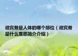 迎賓骨是人體的哪個部位（迎賓骨是什么意思簡介介紹）