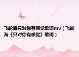 飛輪海只對(duì)你有感覺歌詞mv（飛輪?！吨粚?duì)你有感覺》歌詞）