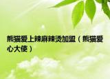 熊貓愛上辣麻辣燙加盟（熊貓愛心大使）