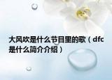 大風(fēng)吹是什么節(jié)目里的歌（dfc是什么簡介介紹）