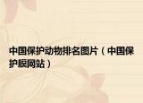 中國保護動物排名圖片（中國保護膜網(wǎng)站）
