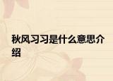 秋風(fēng)習(xí)習(xí)是什么意思介紹