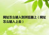 網(wǎng)址怎么輸入到瀏覽器上（網(wǎng)址怎么輸入上去）