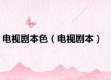 電視劇本色（電視劇本）
