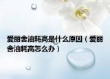 愛麗舍油耗高是什么原因（愛麗舍油耗高怎么辦）