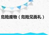 危險廢物（危險見面禮）