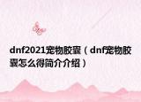dnf2021寵物膠囊（dnf寵物膠囊怎么得簡(jiǎn)介介紹）