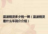 藍(lán)波精靈多少錢一輛（藍(lán)波精靈是什么車簡(jiǎn)介介紹）