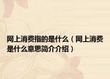 網(wǎng)上消費(fèi)指的是什么（網(wǎng)上消費(fèi)是什么意思簡(jiǎn)介介紹）