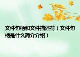 文件句柄和文件描述符（文件句柄是什么簡介介紹）