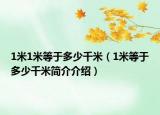 1米1米等于多少千米（1米等于多少千米簡介介紹）
