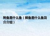 鮈魚(yú)是什么魚(yú)（鲖魚(yú)是什么魚(yú)簡(jiǎn)介介紹）