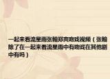 一起來(lái)看流星雨張翰鄭爽吻戲視頻（張翰除了在一起來(lái)看流星雨中有吻戲在其他劇中有嗎）