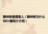 魏坤琳是哪里人（魏坤琳為什么叫Dr魏簡(jiǎn)介介紹）