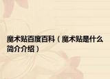 魔術貼百度百科（魔術貼是什么簡介介紹）