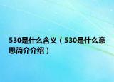 530是什么含義（530是什么意思簡(jiǎn)介介紹）