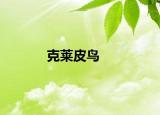 克萊皮鳥